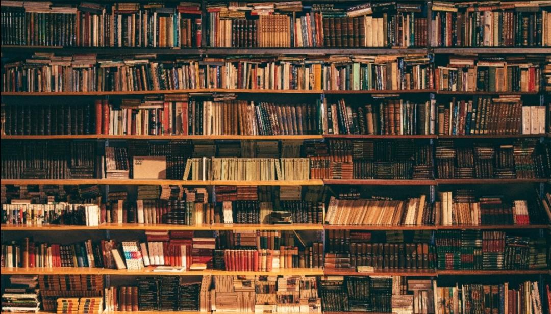 The wonderful world of books